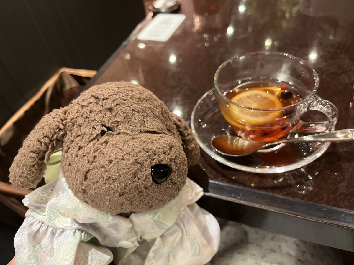 nuigurumi_pupu's tweet photo. 9才になったよ〜🐶🎂
ハクサンが星乃珈琲店につれていってくれたよ☕️

いっしょに行けなかったおともだちも
ポケットぬいぬいをつかって一緒に写真をとれてうれしい！

ボクもおとなの年齢になってきたなあ〜〜
#PocketNuinui https://t.co/m6TpaxNoDf