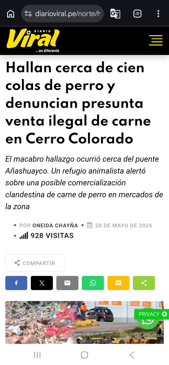 anjgdgh's tweet photo. @Jameswxzfh @GianlucaAL27 Tremenda proyectada https://t.co/vo79gJYIpU