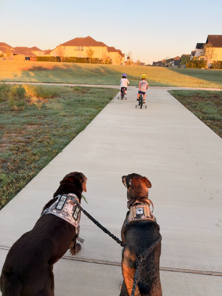 jimmykim's tweet photo. Kicking off this beautiful weekend in Texas with a long walk with the pups and bike rides for the kids! 

We just finished loading all the replays and decks from Commerce Roundtable San Diego keynotes on our site + all the historical talks from previous events and roadshows. 

You can access 93 sessions here: https://t.co/oFxjrQdIHW

And yes, it's 100% free!

Have a great weekend!