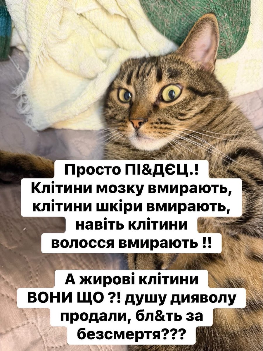 123gena1472's tweet photo. https://t.co/8agcyZd33x