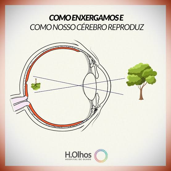 AvelinoReAu's tweet photo. Se vocês soubessem o verdadeiro motivo, ficariam assustados...

O espelho "inverter horizontalmente" não me assusta tanto quanto isso aqui.

Vcs sabiam que a imagem chega no seu olho de cabeça pra baixo? E não é só na vertical: a lente inverte nas duas direções, ou seja, a imagem chega girada 180°.

Minha teoria: a gente vive numa simulação e o Criador fez assim pra economizar processamento. Porque girar 180° é a operação mais barata que existe.

Uma imagem é uma matriz de pixels. Pra girar ela num ângulo θ qualquer, cada pixel passa por:

x' = x·cosθ - y·senθ
y' = x·senθ + y·cosθ

São 4 multiplicações e 2 somas por pixel, por frame, por observador. Somos 8 bilhões. O gasto de processamento pra renderizar a realidade ia ser absurdo.

Agora com θ = 180°, cos = -1 e sen = 0:

x' = -x
y' = -y

Zero multiplicação. É só trocar o sinal.

E na memória é melhor ainda: girar uma imagem 180° é literalmente ler o array de pixels de trás pra frente. O cérebro não "desvira" nada. Ele só lê ao contrário.

Inverter na horizontal (o que a gente acha que o espelho faz) também sai de graça: o pixel da coluna j vai pra coluna n-1-j. Nem é um calculo, é só ler cada linha ao contrário. No Python é a[:, ::-1] e nem copia a imagem, só muda a direção do ponteiro.

Mas o espelho faz algo ainda mais barato: inverte só o eixo frente/trás. A matriz é:

[1 0 0]
[0 1 0]
[0 0 -1]

Custo: 1 bit. Literalmente o bit de sinal do número. Enquanto isso, videogame renderiza a cena duas vezes pra fazer um espelho. Por isso todo jogo tem espelho quebrado ou embaçado. 

Agora pensa na nossa realidade, na quantidade de espelhos que existem... água, objetos reflexivos, metálicos...

E por que parece que o espelho troca esquerda e direita? Porque reflexo tem determinante -1 e rotação tem +1. Nenhum giro te transforma no seu reflexo. O cérebro faz o giro mais barato (meia-volta) e culpa a esquerda/direita pela sobra.

Conclusão: estamos em uma simulação e o Universo faz isso pra economizar energia e processamento.

Espelho: um sinal de menos.
Olho: ler o array de trás pra frente.

E isso porque eu nem falei de mecânica quântica, observador, renderização da realidade, economia de energia...

Pixel: a energia não é contínua, ela vem em pacotinhos (os quanta). A realidade é digital.

Observador: no experimento da dupla fenda, o elétron se comporta como onda. Quando alguém mede por onde ele passou, o padrão de onda some. Igual jogo que só renderiza o que está na frente da câmera.

Resolução: existe um tamanho mínimo, o comprimento de Planck. Abaixo dele, a física que a gente conhece para de funcionar. Parece a resolução máxima da tela.

Limite do processador: nada passa da velocidade da luz. Nem informação.

Entrelaçamento: duas partículas ligadas dão resultados combinados, não importa a distância entre elas. Parecem duas variáveis apontando pro mesmo endereço de memória.

Economia de energia: a natureza sempre segue o caminho que gasta menos. Na física isso tem até nome: princípio da menor ação.

Render distance: só dá pra enxergar até uns 46 bilhões de anos-luz. Depois disso, nada carrega.

Algoritmo de compactação: seus sentidos recebem cerca de 1 bilhão de bits por segundo, mas o pensamento consciente roda a uns 10 bits por segundo (estudo do Caltech, 2024). Você só tem consciência de 0,000001% do que chega. E a compressão começa no próprio olho: são uns 120 milhões de células captando luz e só 1 milhão de fibras no nervo óptico. Ou seja, você vê o mundo em JPEG.

Depois ainda passa por um classificador: o cérebro não guarda a cena, guarda as etiquetas. "Cachorro". "Perigo". "Comida". "Aquele cara que me deve dinheiro".

Até um filósofo de Oxford, Nick Bostrom, publicou um artigo em 2003 dizendo que essa hipótese deve ser levada a sério.

Se um dia seu reflexo atrasar meio segundo, não comenta com ninguém. Só continua cumprindo seu papel nessa simulação.