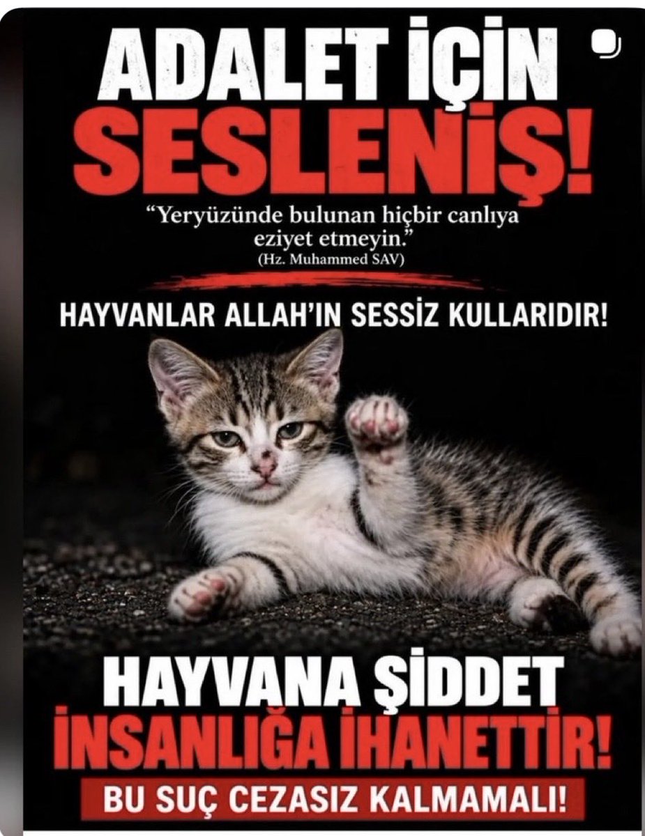 ElfidaPri72's tweet photo. Uyan Türkiye! https://t.co/TIShkQz4Hc