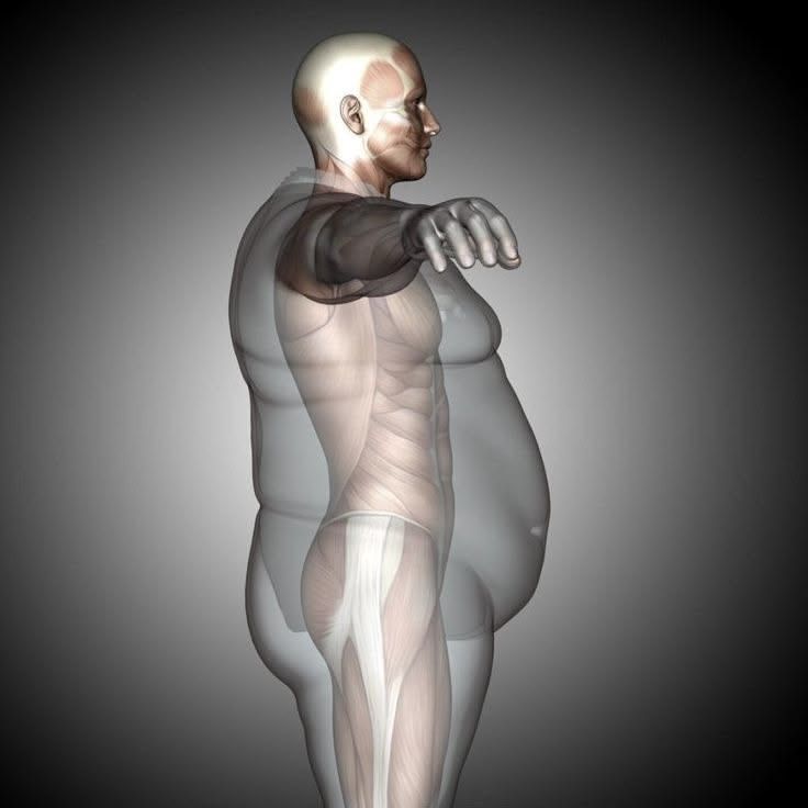 JuanchoMxx's tweet photo. 9 HÁBITOS PARA COMBATIR LA GRASA ABDOMINAL DESDE HOY. 

La grasa visceral es la que se acumula alrededor de tus órganos. Reducirla puede mejorar tu salud metabólica. https://t.co/bd0694StVi