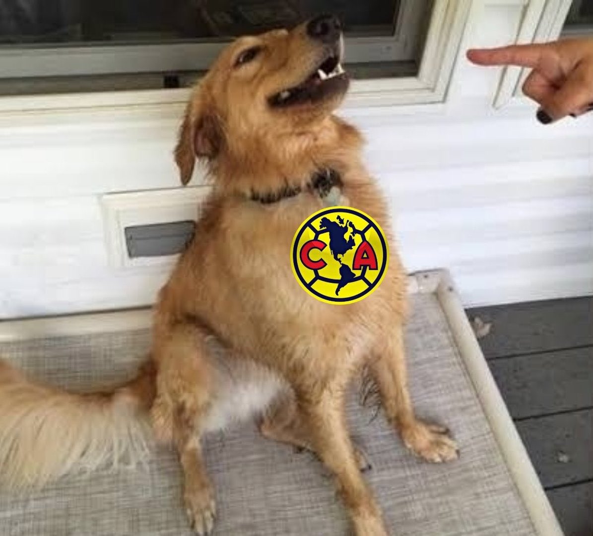 tudimebeto's tweet photo. El América tiene que ganar hoy porque es el festejo del Aniversario 110, con nuevo uniforme, en tu casa y con tu gente.

No la vayas a cagar. https://t.co/jmZgdbKMow
