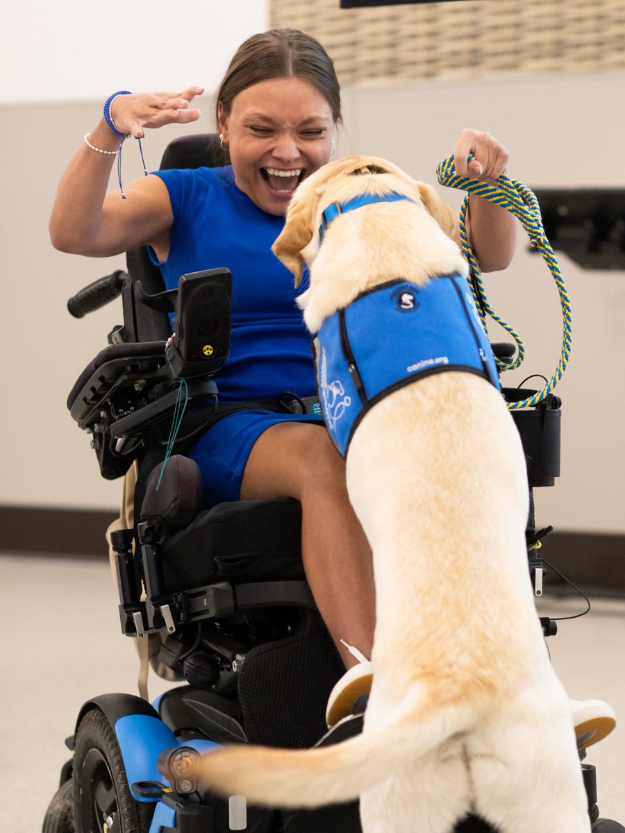canineorg's tweet photo. #WorldInclusionDay 🫶 What are you doing to ensure people of all backgrounds and abilities are supported and included? Tell us in the comments below! ⤵️ 

#inclusion #diversity #disabilityawareness #LeadWithIndependence https://t.co/4ui3iATfFE