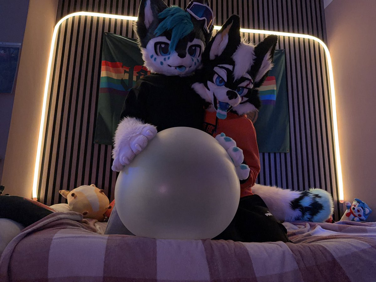 Electr0_m0nster's tweet photo. Awrf awrf I got a niice bubble but awrf I’m gonna share with this boyo just remember no take only throw :3 🐶🎾🎈 #SqueakySaturday 

🐱:@WhitePanth3r99 https://t.co/xzKqZcR9wl