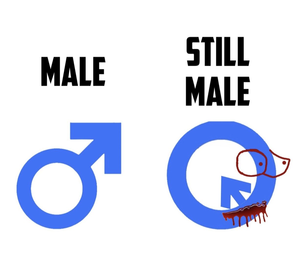 CopperCation's tweet photo. Today's reminder that men still aren't women ⬇️ https://t.co/Vy6wdS6jW2