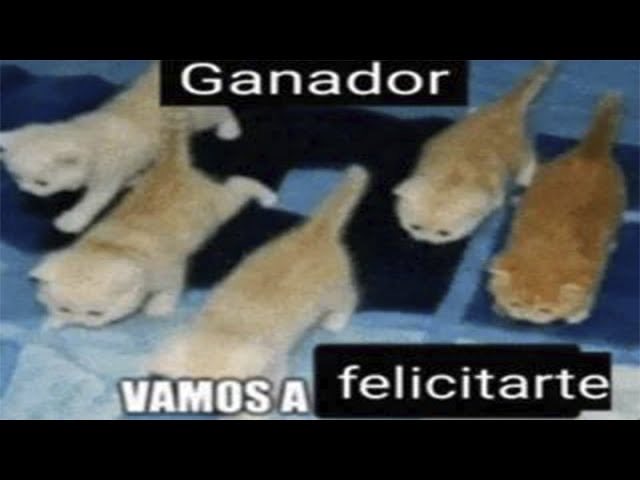 adrissnos321's tweet photo. @P1P3_L0K0 https://t.co/PlPGbcrSuA