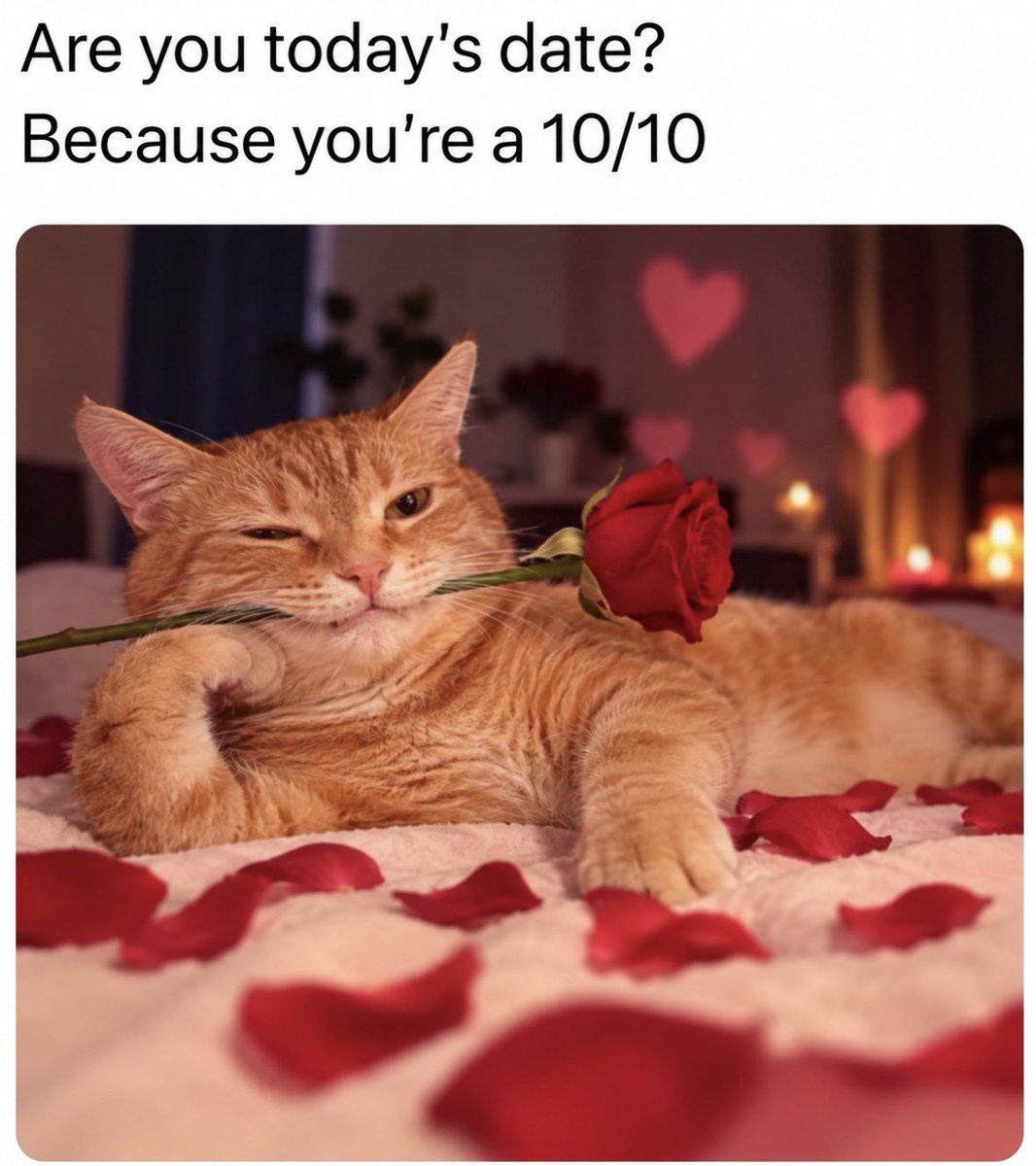 RespectfulMemes's tweet photo. https://t.co/AyVajTUyYD
