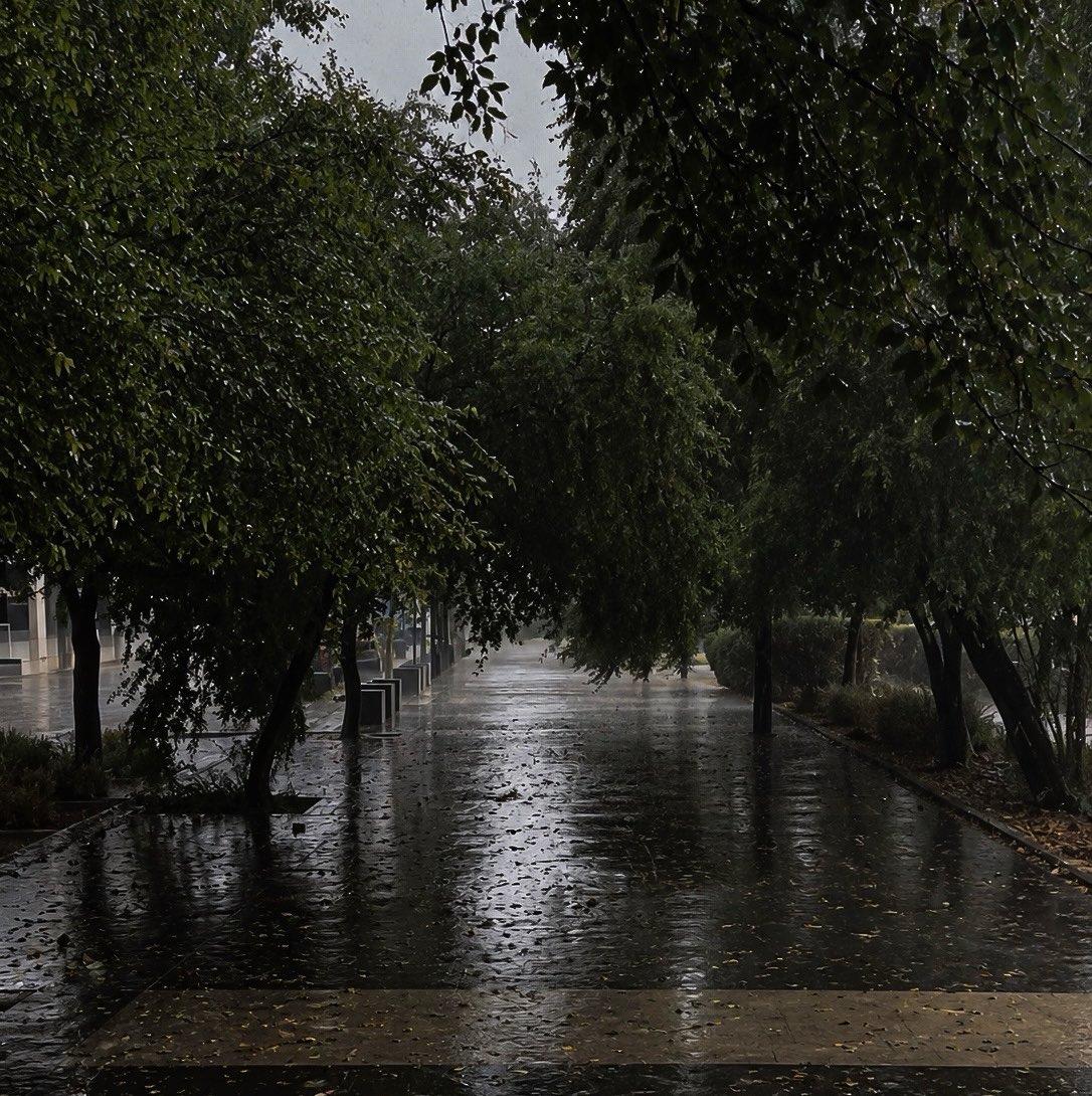 VeiledExist's tweet photo. A Rainy Day \ https://t.co/oeDoK7IGHo