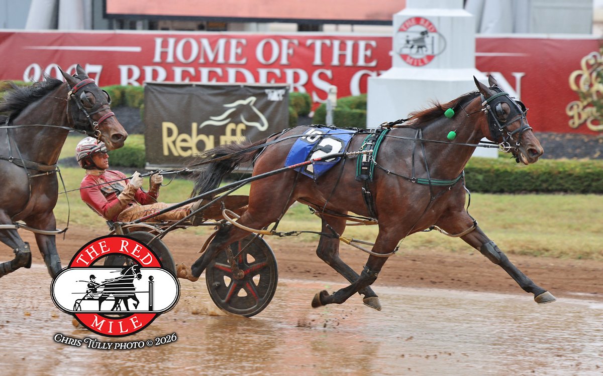 RedMileHarness's tweet photo. HOPE HILL won the $212,000 (Grade 2) Glenn Garnsey Memorial for 3-year-old pacing fillies in 1:51.1, her second consecutive stakes win at the Red Mile.

Driven by Dexter Hill for trainer Petter Engblom and owner-breeder Tom Hill, the daughter of PAPI ROB HANOVER. https://t.co/RBkQ9p0R3p
