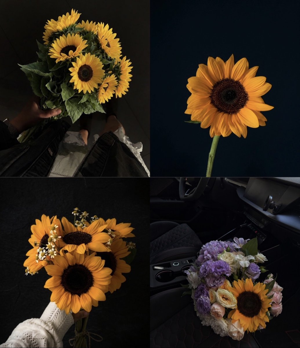 sunflowerchives tweet picture