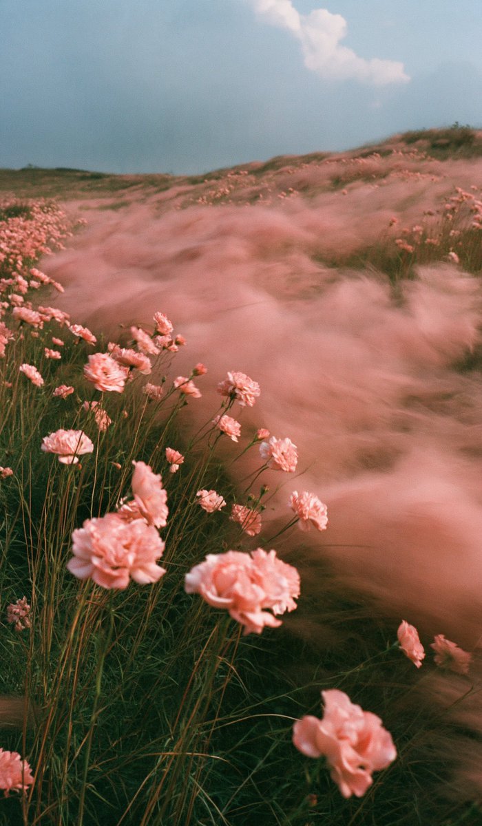 aestheticwabi's tweet photo. https://t.co/WKWaSqKWIT
