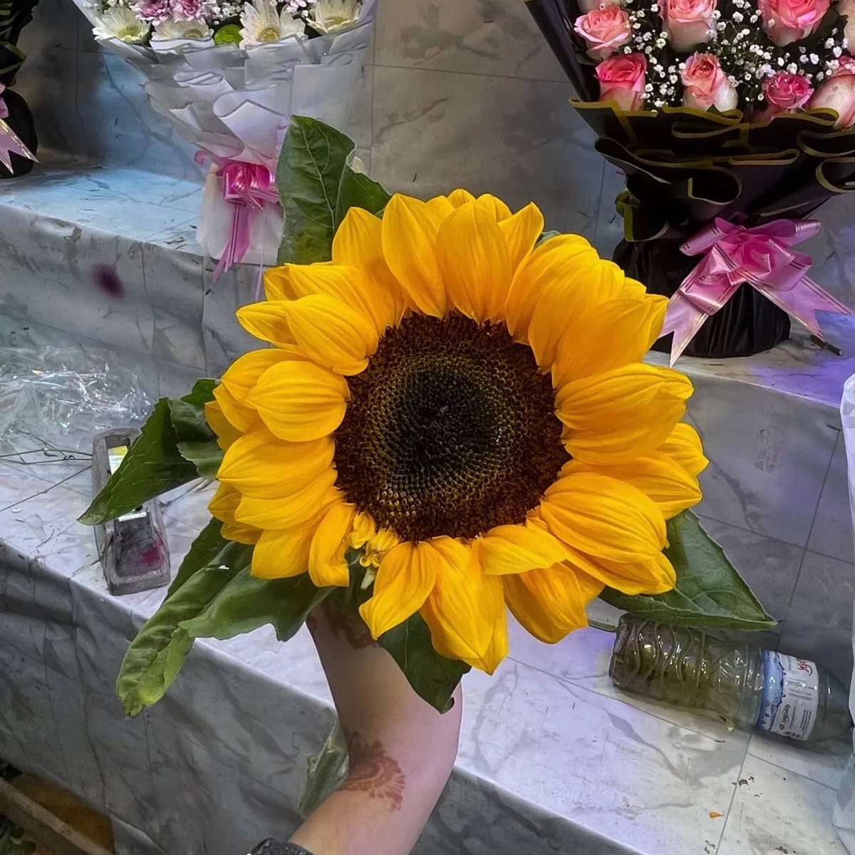 sunflowerchives tweet picture