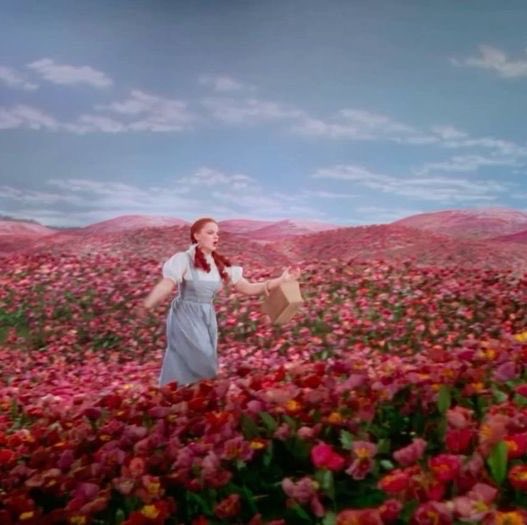 fairysoulart's tweet photo. The Wizard of Oz (1939) https://t.co/9Qi2UyhOqx