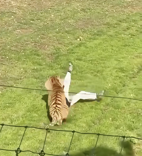 Landeur's tweet photo. > Special needs guy jumps into tiger enclosure and dies.
> Special needs guy throws child to crocodile enclosure. 

Both happened this year.

At what point do we stop letting people with special needs go to the zoo? https://t.co/RU9EJGsUyu