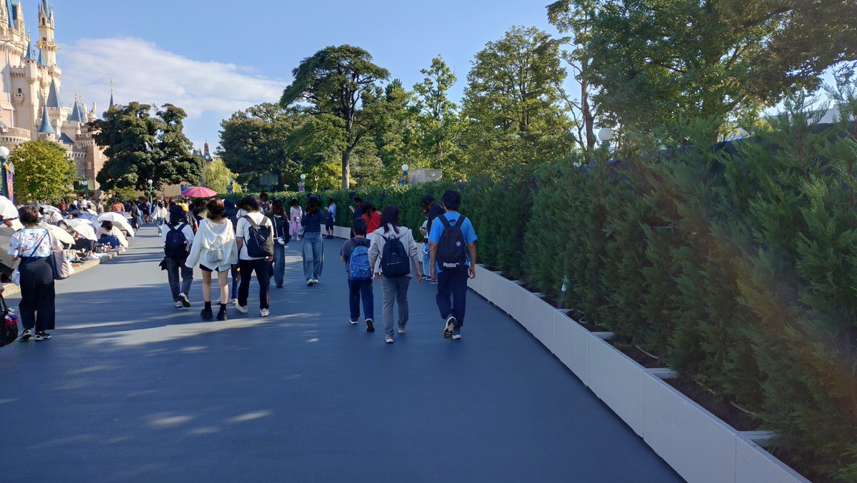 hacchak_chake's tweet photo. ご注意‼️
現在のランド🏰
 2ndのパレルはクリパレ側のイン、トゥモラン側のアウトが植栽でパレード鑑賞できません😭ベンチも撤去されてます！地蔵の方ご注意を！ https://t.co/zQGu2lFOXa
