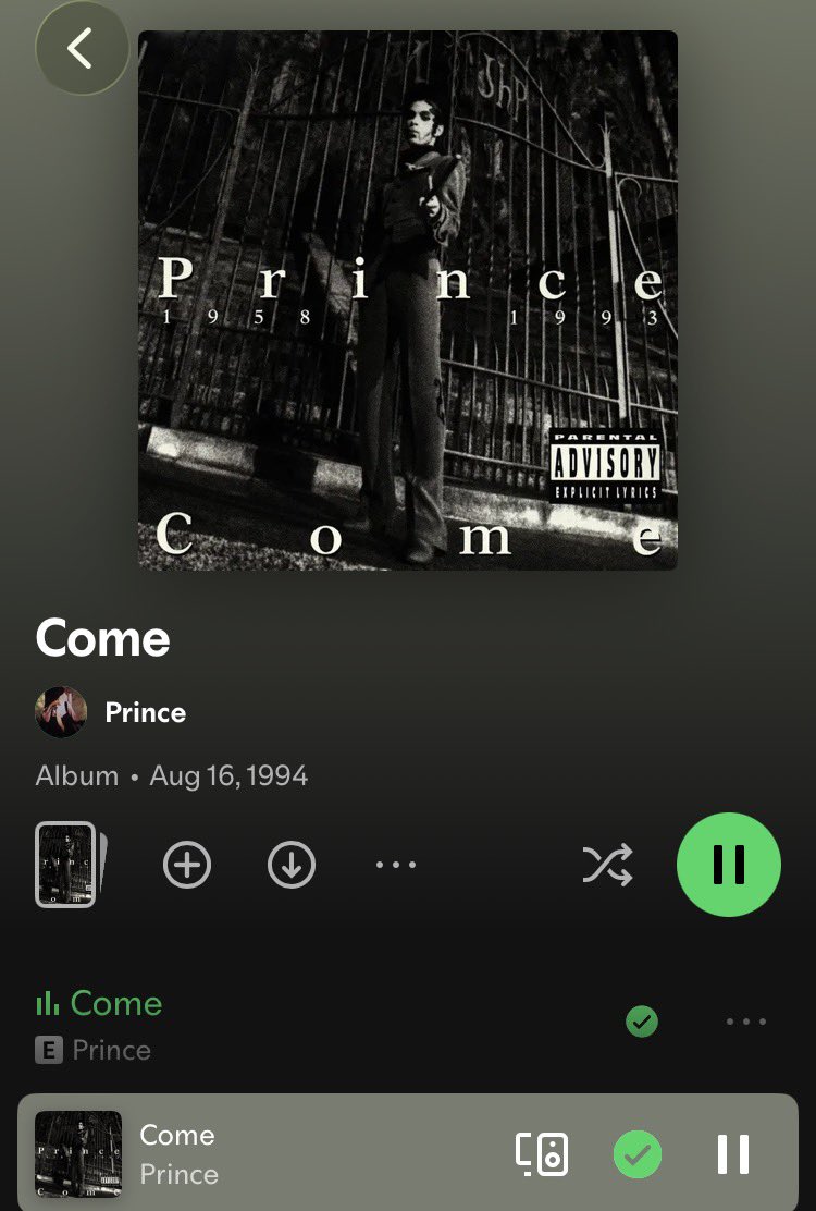 matchayleche's tweet photo. Some of y’all are sleeping on this album so hard. If you want to hear a song that is 11 minutes of Prince moaning with really good horns and jazz elements , plssss listen to Come. https://t.co/6TU8yVZKLO