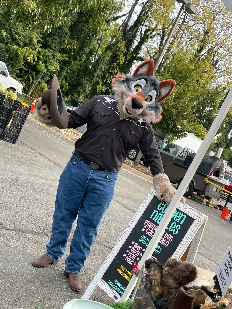 IronYote's tweet photo. Went to the farmers market to see my friend @Thegrokegroke working at the Golden Nibbles stall! I also got this amazing drawing form a this amazing local artist Quinn~ https://t.co/w1hXjH1mjz