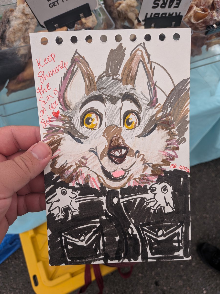 IronYote's tweet photo. Went to the farmers market to see my friend @Thegrokegroke working at the Golden Nibbles stall! I also got this amazing drawing form a this amazing local artist Quinn~ https://t.co/w1hXjH1mjz