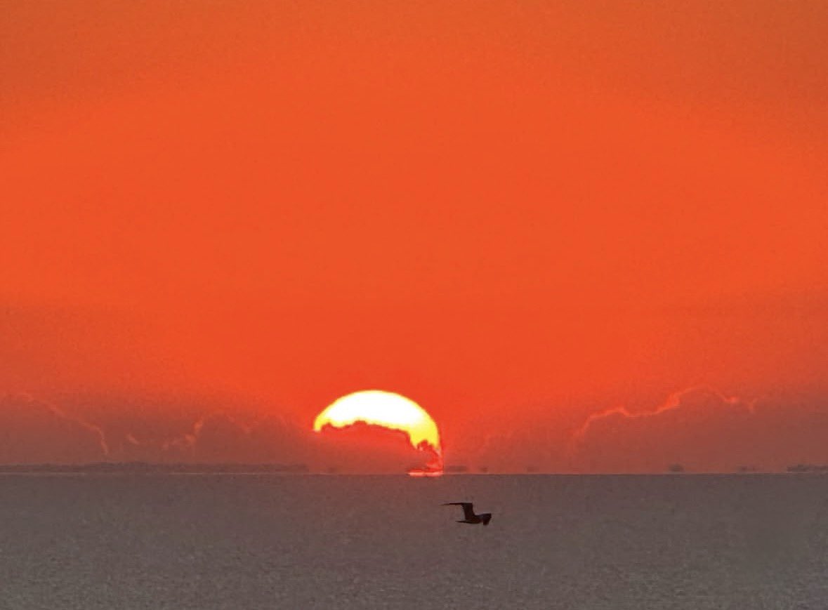 ElijahAlexz5's tweet photo. Good Morning Corpus Christi.....well, that's something https://t.co/KS6pAWESgJ