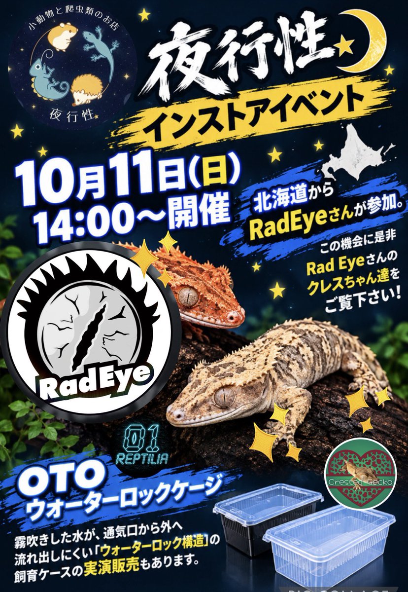 RadEye_Cresties's tweet photo. 明日10/11 #夜行性インストア
SSスーパーエンプティバック M♂
イエローリリーホワイト ♀
レッドファントム ♀
#crestedgecko 
#RadEye https://t.co/oDM0ay9qBT