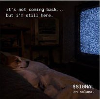 Solanasignal_'s tweet photo. it might just come back who knows? https://t.co/K7olLBRLAF