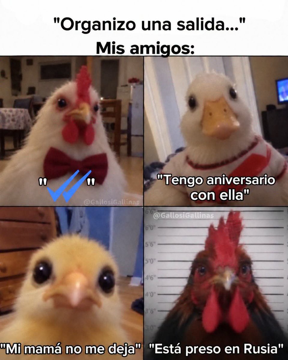 josrang's tweet photo. Ha si yo dando con cada imprevisto. https://t.co/ZNM0Xf03iG
