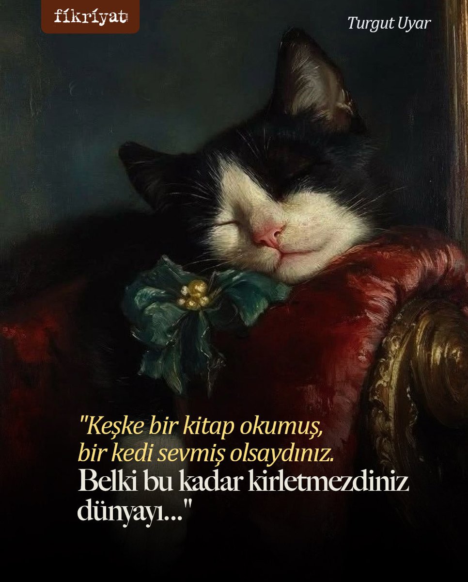 fikriyatcom's tweet photo. Keşke… ❤️‍🩹 https://t.co/1y4EEaLXhT