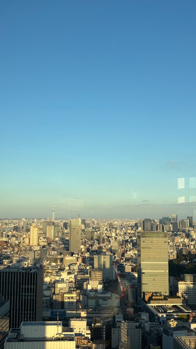 simotyan_'s tweet photo. とちょーうからの眺めが良かったです https://t.co/ZIRtHJxeRS