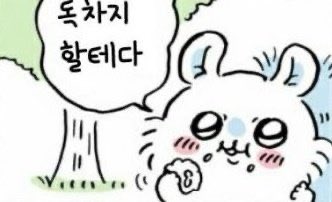 ru_unyann's tweet photo. 장래희망 모몽가인 이유 : https://t.co/MIDi4m08GZ