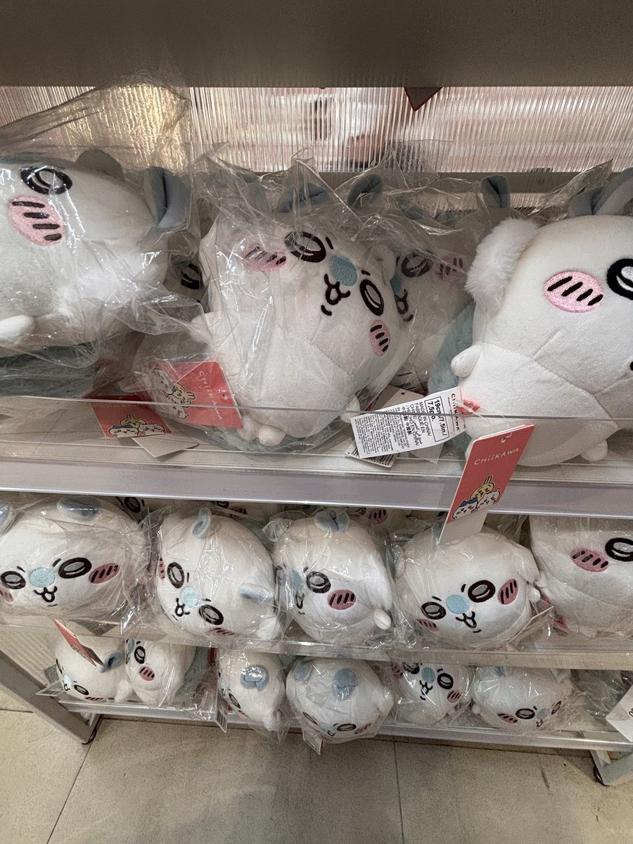 baby_pigham's tweet photo. 미니소에게두
이런시절이 잇엇어요 https://t.co/bfyiv9ySUt