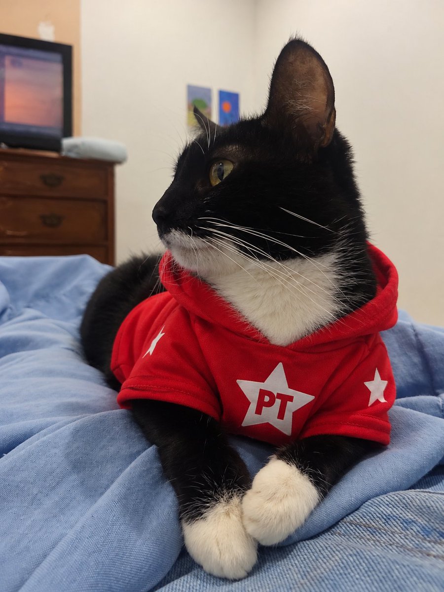 giobm__'s tweet photo. A Luna já se posicionou ⭐️⭐️⭐️⭐️⭐️⭐️⭐️

#LULA13JÁ #lula https://t.co/Fi7SOegjdy