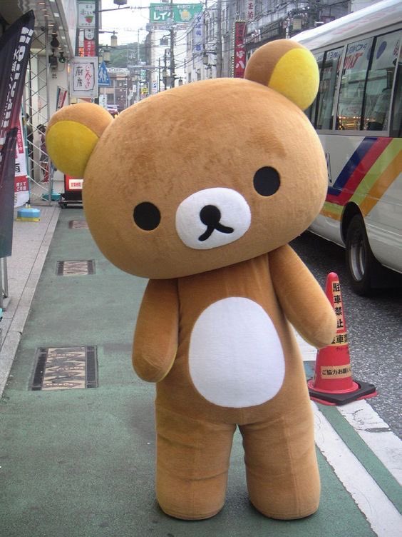 ttou0o's tweet photo. 261010 n 난세 https://t.co/CaZrxqtokH