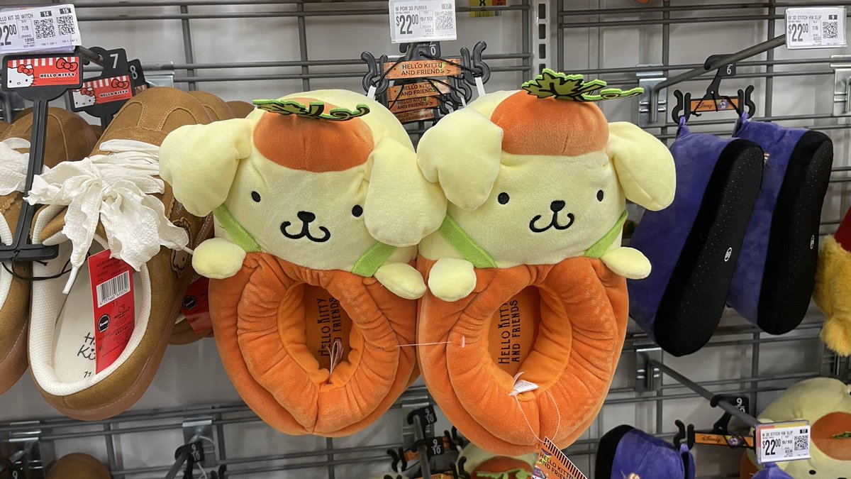 lahlahlend's tweet photo. you won’t believe what they have at walmart yall. if you see a pochacco version anywhere please please send it to me..it’s urgent. https://t.co/cgHzdEWNmB