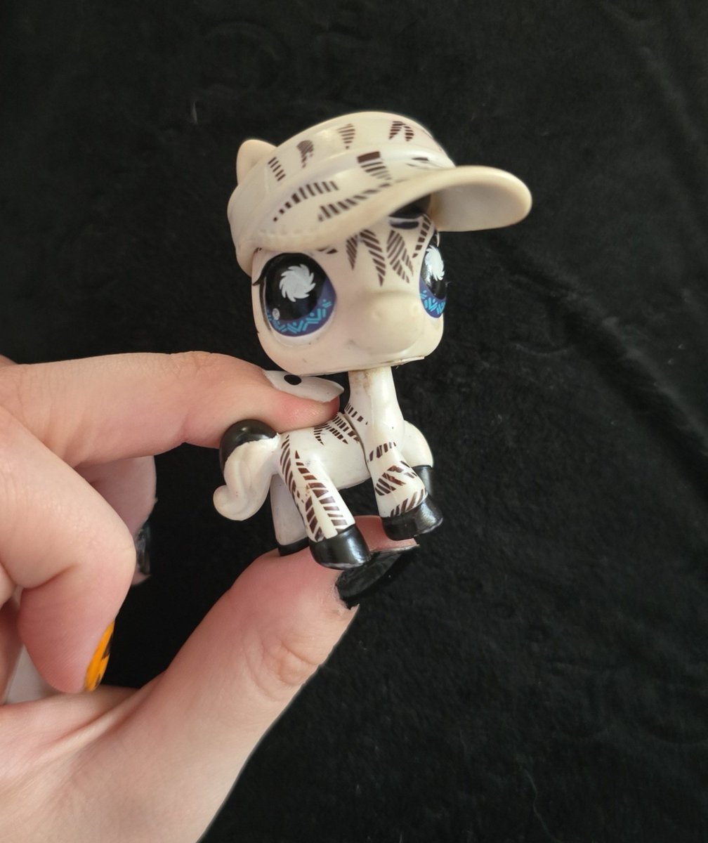 harvesternation's tweet photo. Postcard Pets zebra, 903! https://t.co/Eo8Q3jcGIH