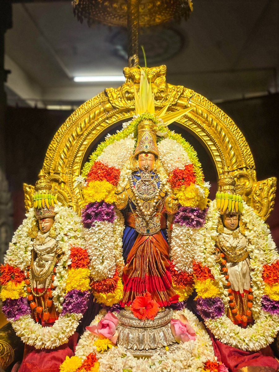 KanchiMatham's tweet photo. Swarna Rathotsavam performed to Sri #Kanchi Kamakshi Ambal at #Kanchipuram this evening (10 October. 2026 - Amavasya) #kamakoti https://t.co/CQbeR2VsZR