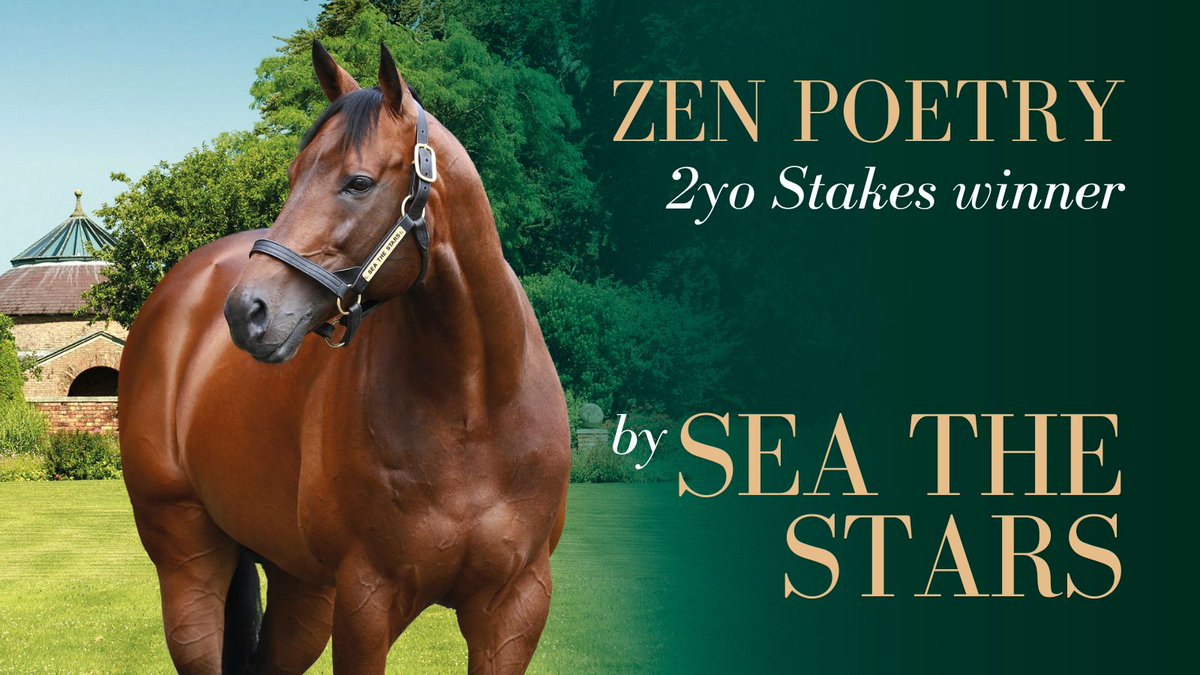 AgaKhanStuds's tweet photo. 🔥 Another 2yo Stakes winner for #SeaTheStars as @godolphin's Zen Poetry wins the Listed Prix Saraca @fgchantilly.

The colt, bred by @Haras_d_Etreham, is a graduate of last year's @Tattersalls1766 Book 1 sale. Congratulations to his connections! 👏 https://t.co/5NV00SwXKE