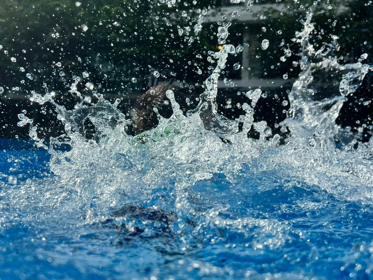 AddisonGarok's tweet photo. 曳池から迸る水しぶきが夏の暑さを吹き飛ばしてくれる https://t.co/bIjzDQBrlK