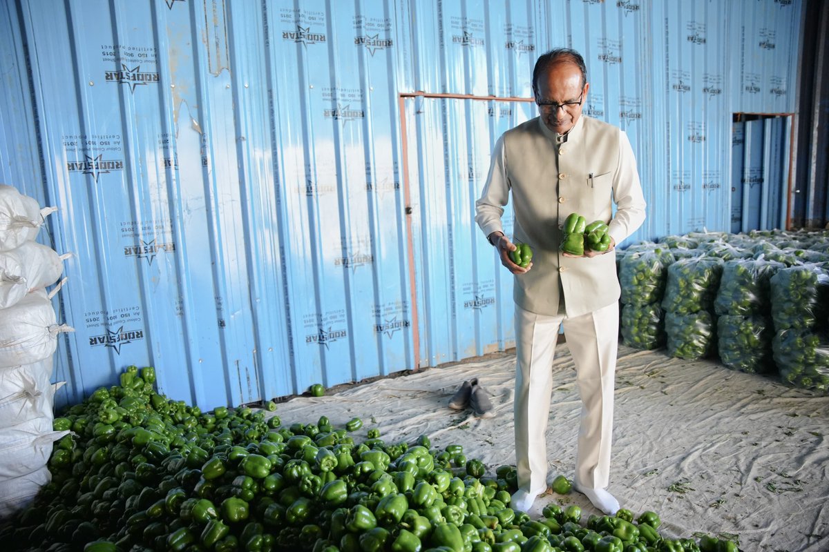 OfficeofSSC's tweet photo. Rooted in Farming

Hon’ble Union Minister of Agriculture &amp; Farmers’ Welfare, Shri @ChouhanShivraj Ji visited his farm and observed the crops. https://t.co/sMEaq04Wm1