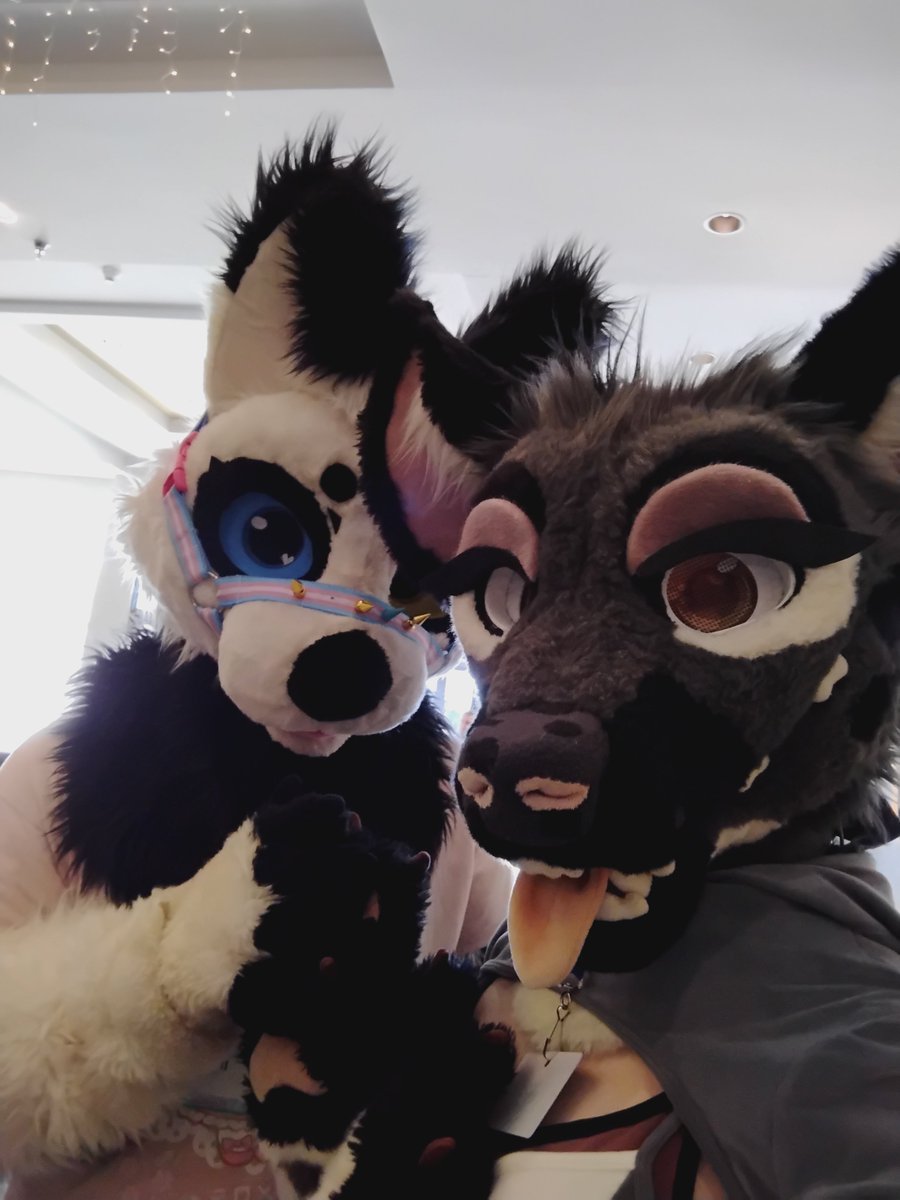 NoxxHyena's tweet photo. MAW photos! https://t.co/lMtHtKByGc