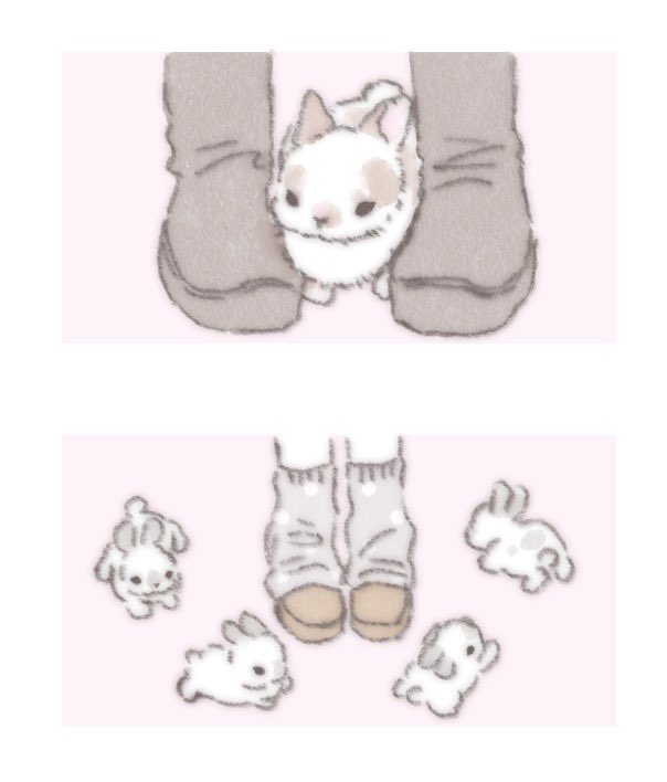 tanpopo_small's tweet photo. 토끼 총총 https://t.co/qm8RWRLBgg