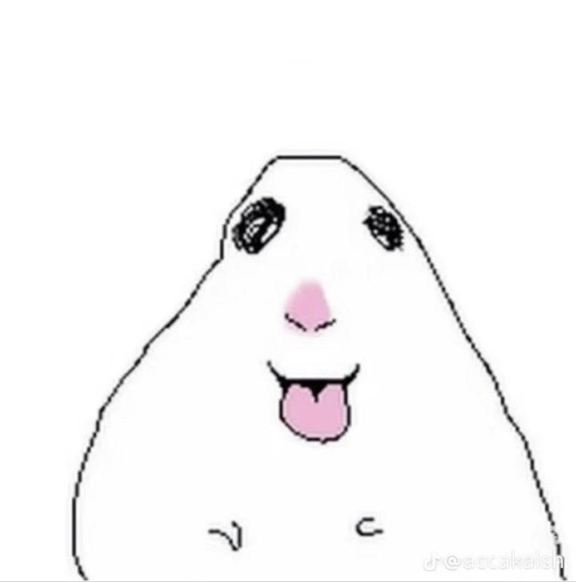 PADRESOUYA's tweet photo. @MacksandCheeese https://t.co/dVopMahpJv