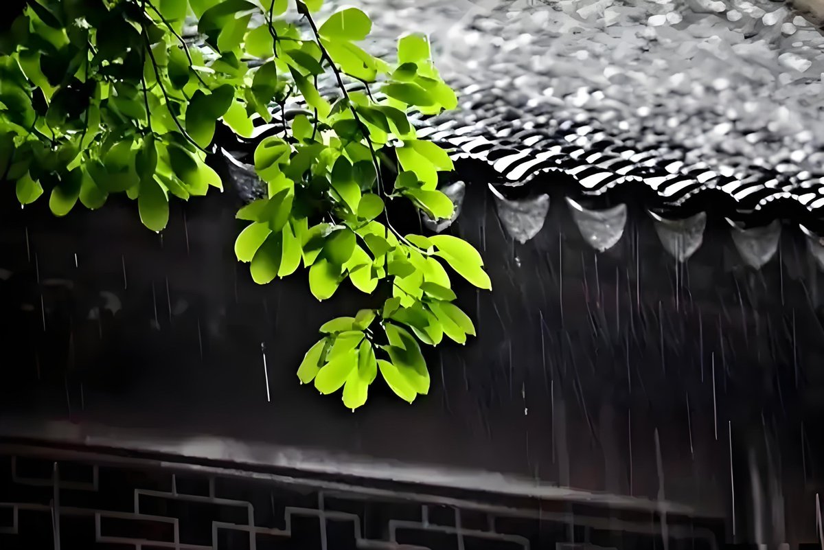AlexandraCvbh's tweet photo. [瓢]が雨を弾く縁側で、[猜]疑の目を向ける猫。[镀]る夕日が[邓]んだ窓辺に、ちょっと[谒]んな空気が流れてる。 https://t.co/R6xOlldApb