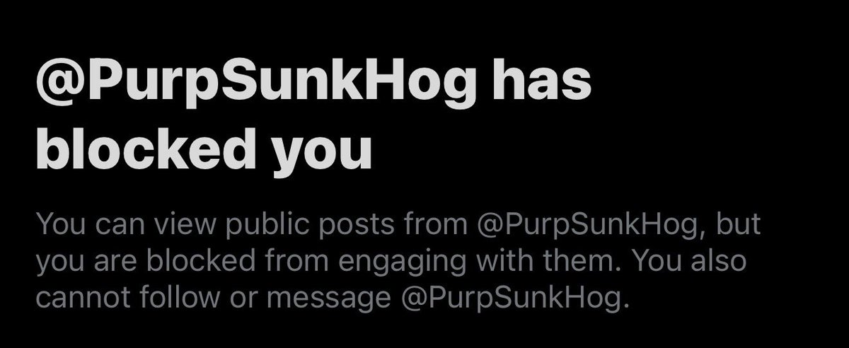SonicChan_02's tweet photo. @Sokanhn @PurpSunkHog @SonicChanni @fabianno876 @LeoDoPerigo @bigmike090704 bro said “notice how bro decided to use an alt account to try and call me a bum” then proceeds to block me earlier by an ALT account. i’m crine he really is a bum https://t.co/sSbXUjhMXK