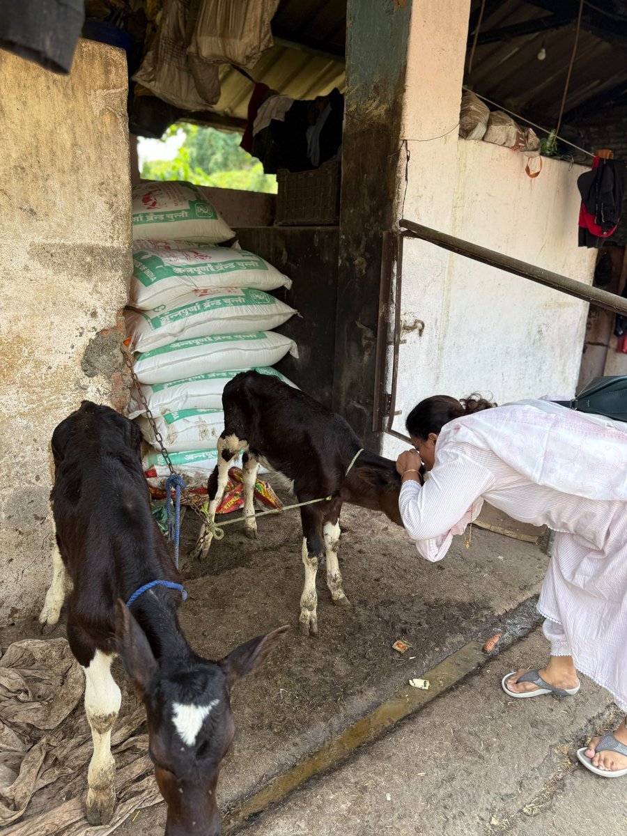 impuni's tweet photo. @DesiKing_ Both these sweeties allowed me to kiss them on their forehead today . https://t.co/xvCTBgavKm