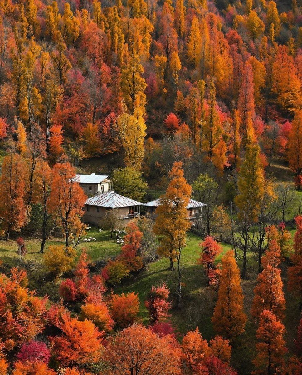 yaghobnazari6's tweet photo. پاییز روستای پلنگ دره گیلان 🍂🍁🍂 https://t.co/1qI8bP9aNR