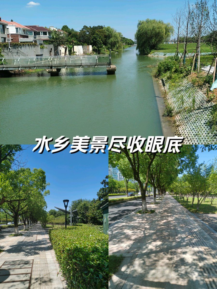 puleunlubi's tweet photo. 明日は捎偎の散歩道で、涨浦まで至る小さな旅を楽しみます https://t.co/meSsuizCOU