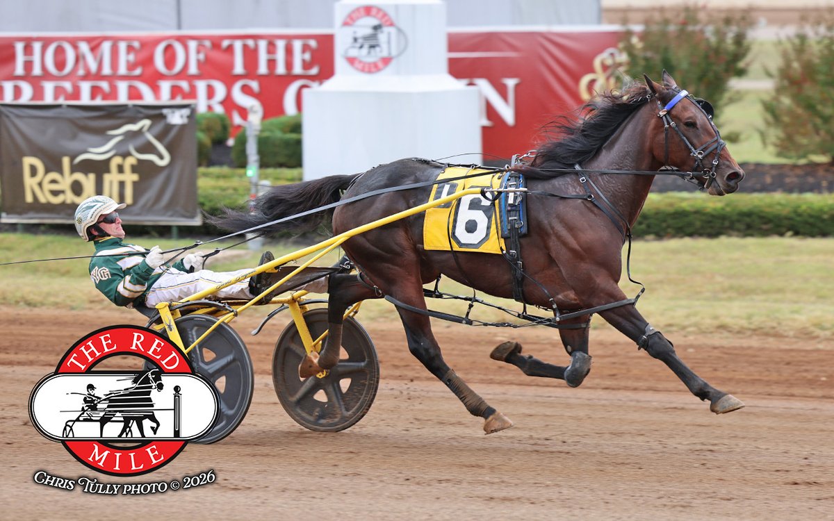 RedMileHarness's tweet photo. WOMEN LAYER was dressed to thrill in the $14,000 Open Handicap Pace, scoring in a swift 1:48.4.

Driven by Yannick Gingras for trainer Virgil Morgan Jr. and owners Let It Ride Stables, Jeff Fought Racing, Larry Wills and Jesmeral Stable, she is a 5-year-old daughter of SWEET LOU https://t.co/Bax0ZqUX7K