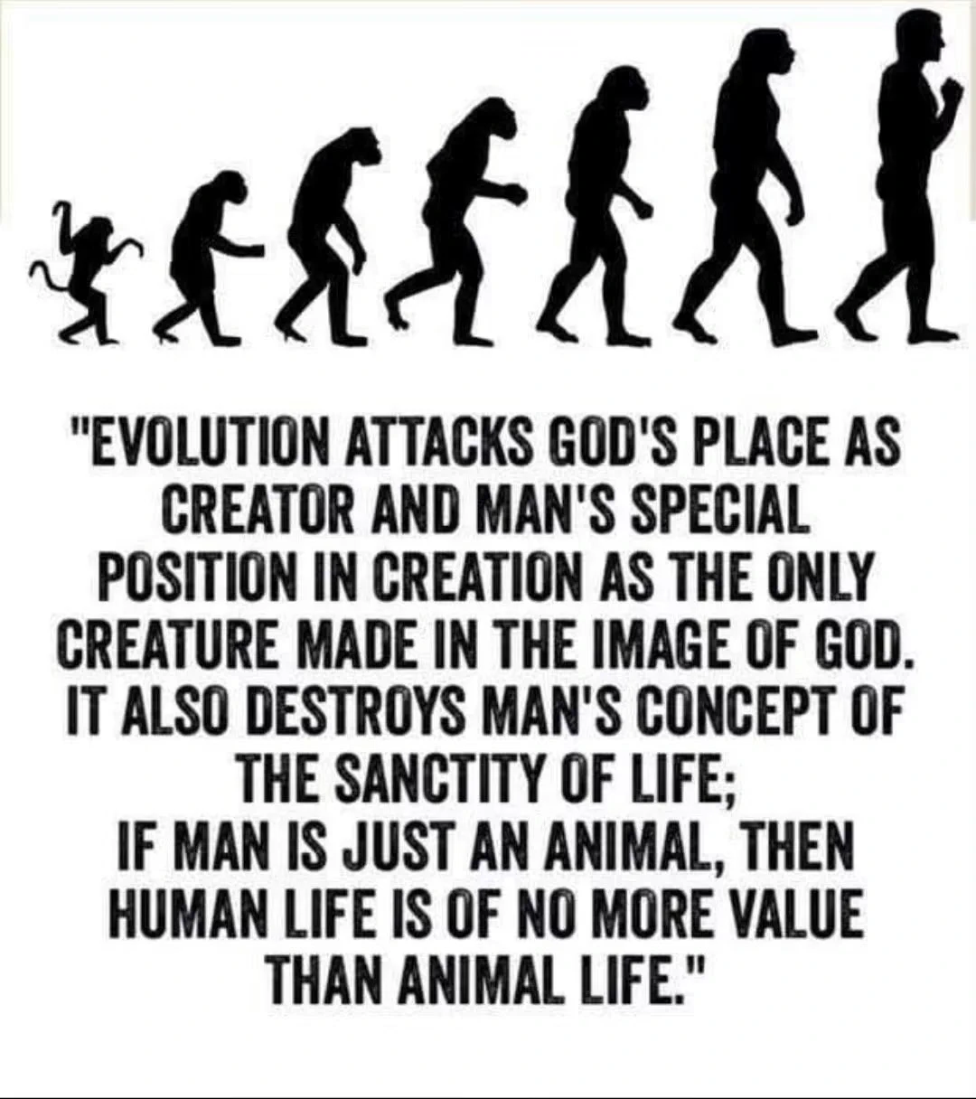 ScienceQriosity on X: 